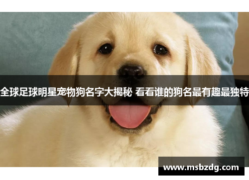 全球足球明星宠物狗名字大揭秘 看看谁的狗名最有趣最独特