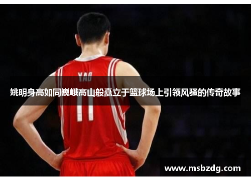 姚明身高如同巍峨高山般矗立于篮球场上引领风骚的传奇故事