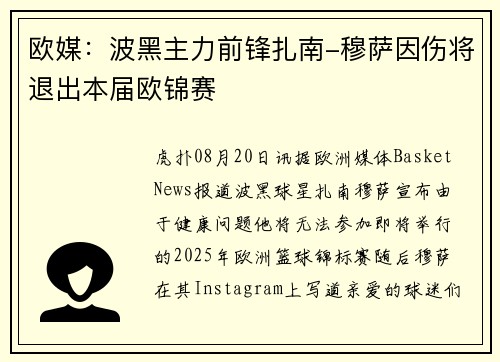 欧媒：波黑主力前锋扎南-穆萨因伤将退出本届欧锦赛